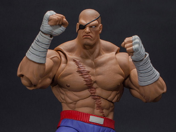 Action Figure 1/12 Scale